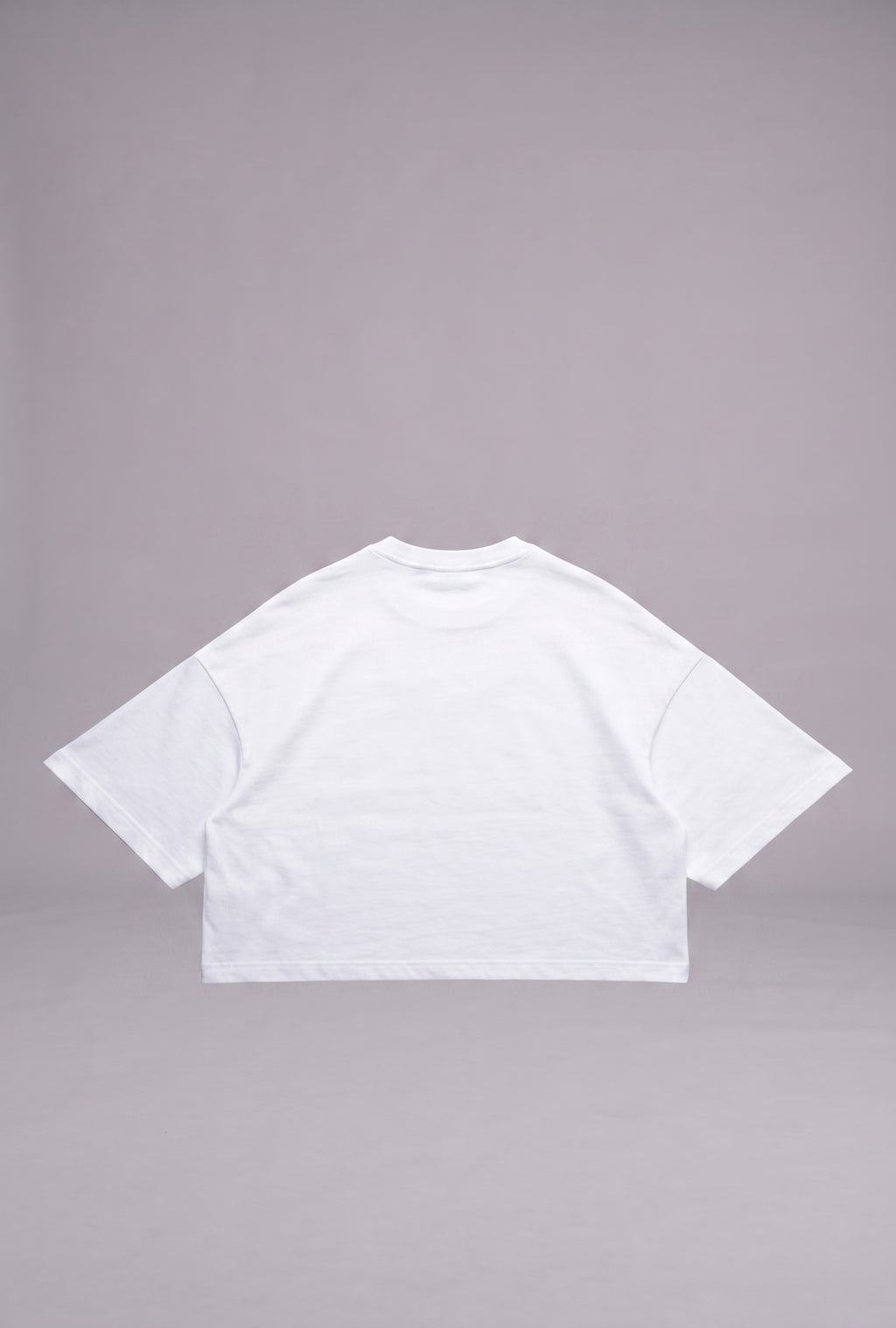 BASIC TEE V2