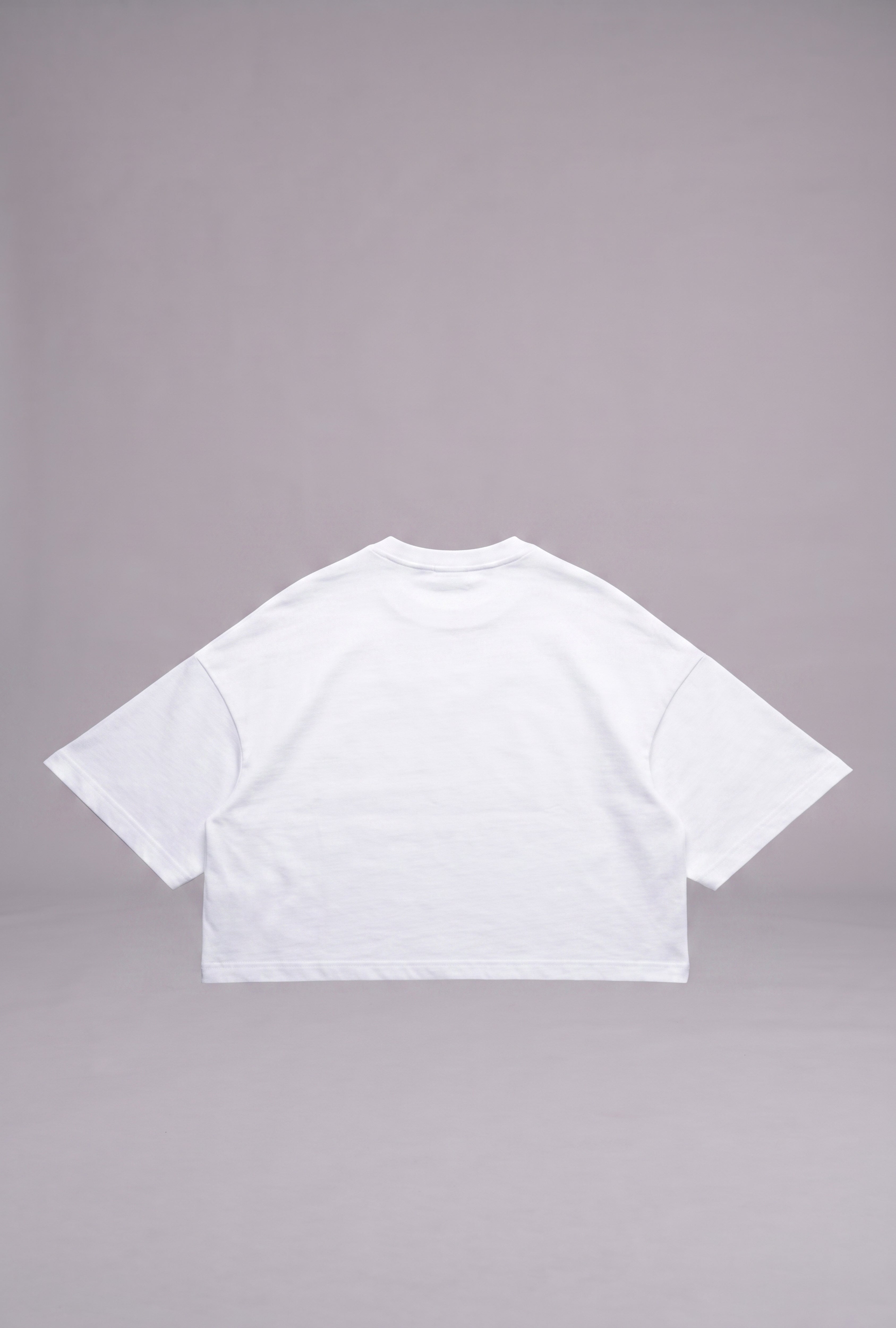 BASIC TEE V2