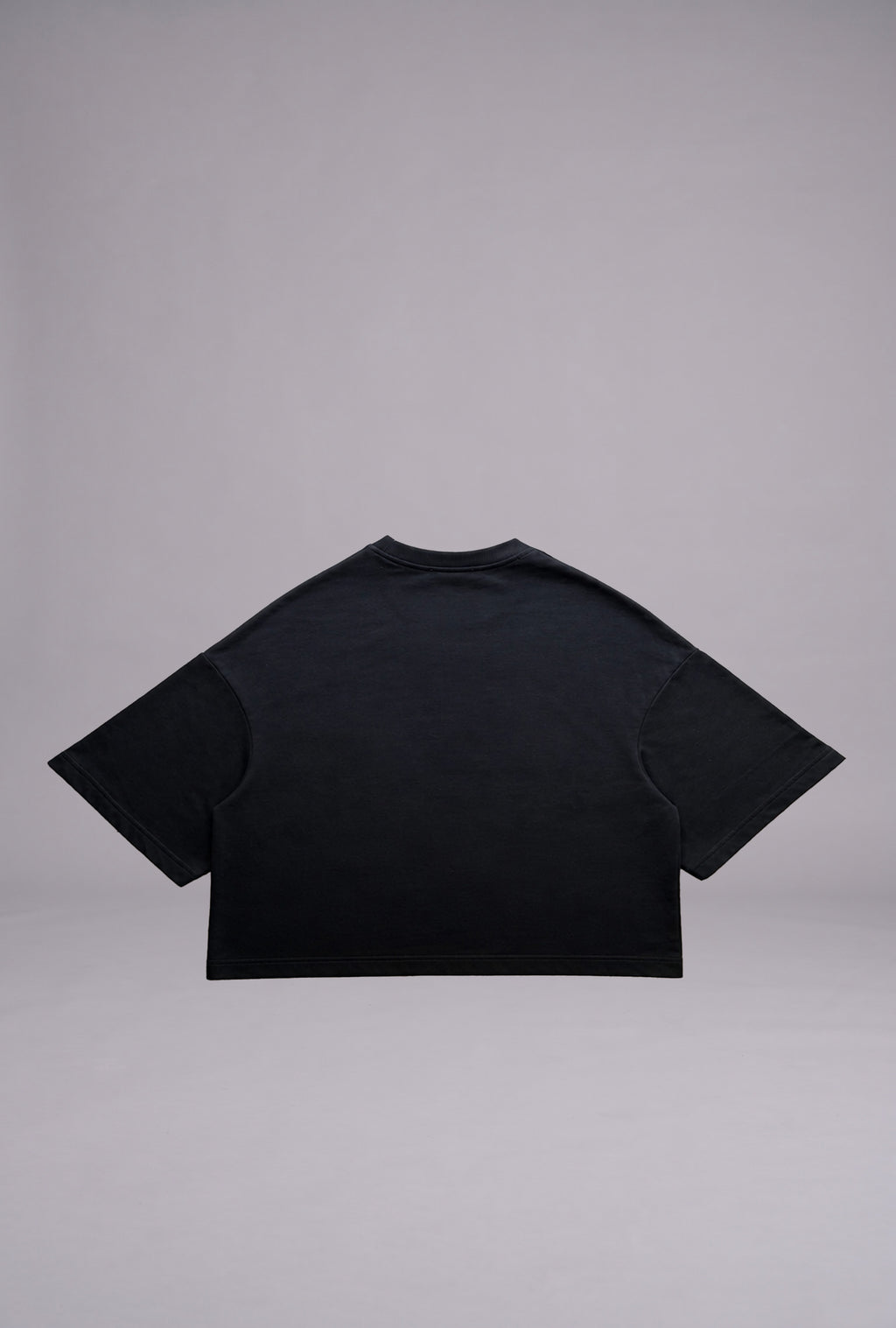 BASIC TEE V2