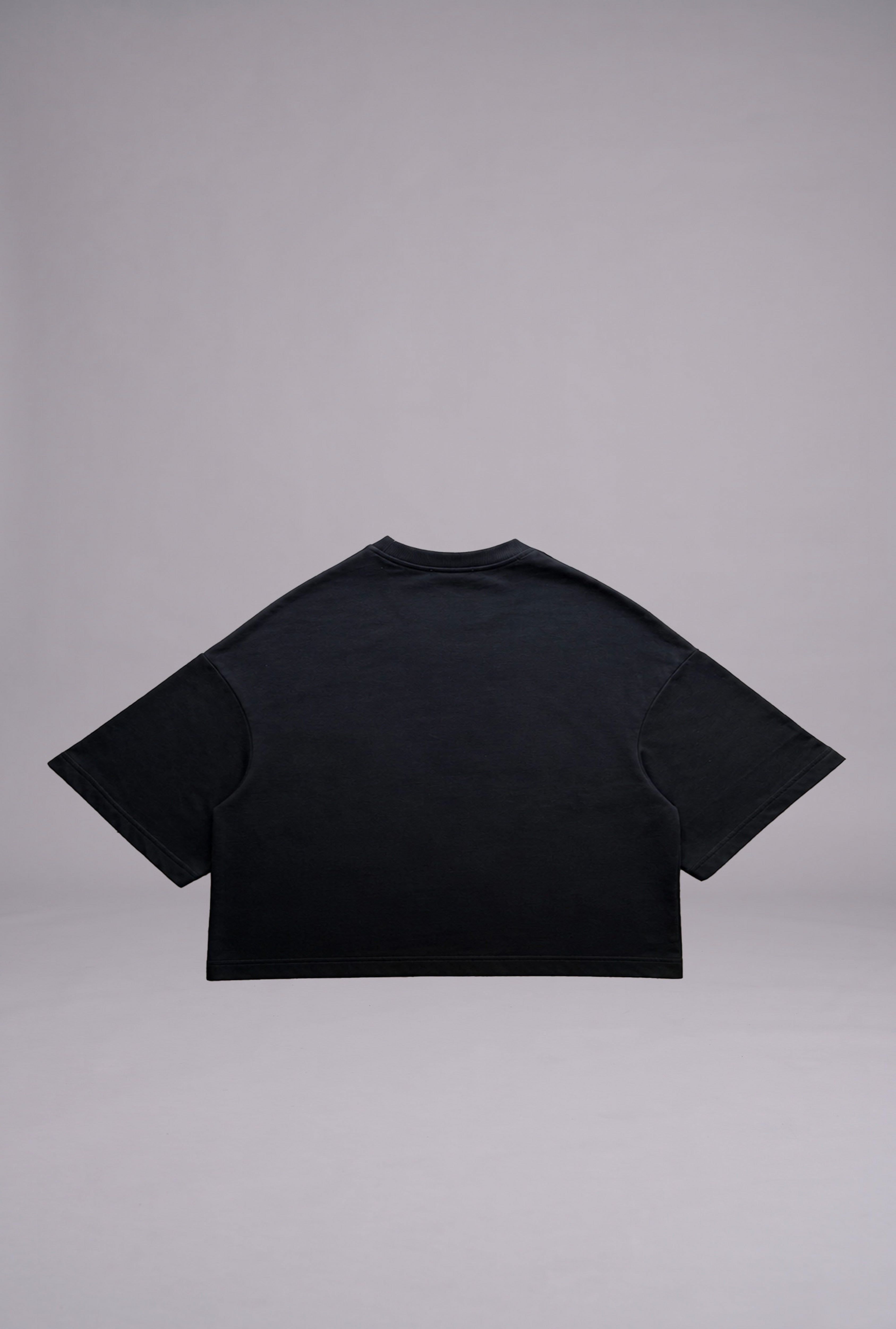 BASIC TEE V2
